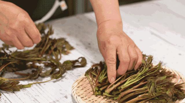 野菜之险，女子因一口野菜误入ICU的警示吃野菜视频