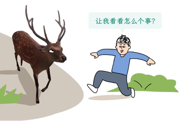 警惕！路边出现诡异姿势的鸟，切勿靠近路边遇到这种诡异姿势的鸟 赶紧远离它