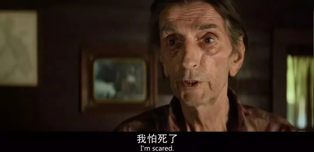 蔷薇生死电影，一段关于生命与爱情的深刻诠释蔷薇生死电影在线观看